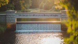 Dam Puns That Will Have You Overflowing with Laughter