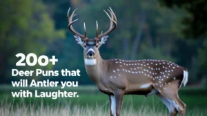 Deer Puns That Will Antler You with Laughter