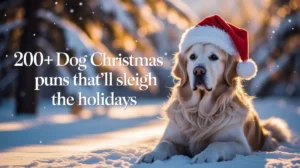 200+ Dog Christmas Puns That’ll Sleigh the Holidays