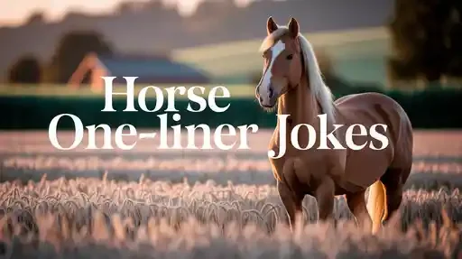 Horse One-Liner Jokes