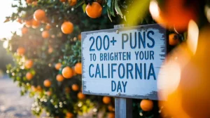 Puns to Brighten Your California Day
